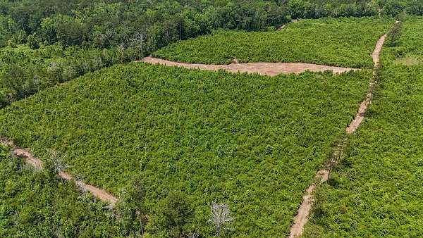 30.9 Acres of Land for Sale in Liberty, Mississippi