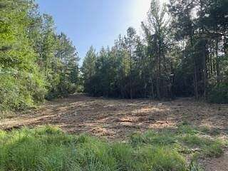 11.2 Acres of Land for Sale in Liberty, Mississippi