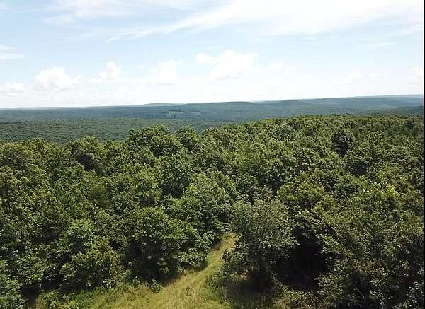 134 Acres of Recreational Land & Farm for Sale in Mountain View, Arkansas