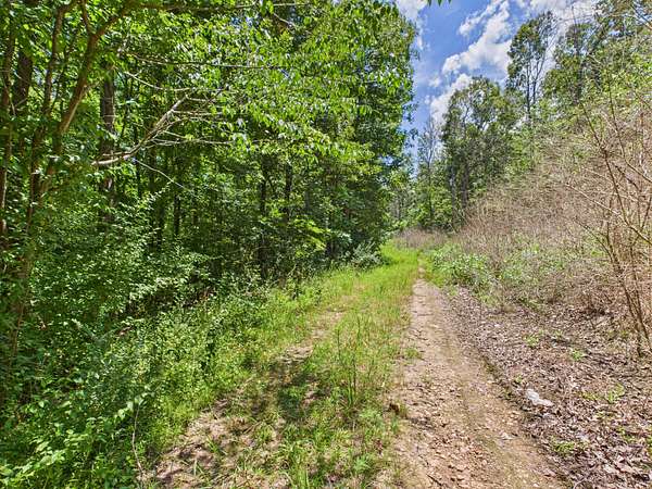 0.2 Acres of Residential Land for Sale in Wappapello, Missouri