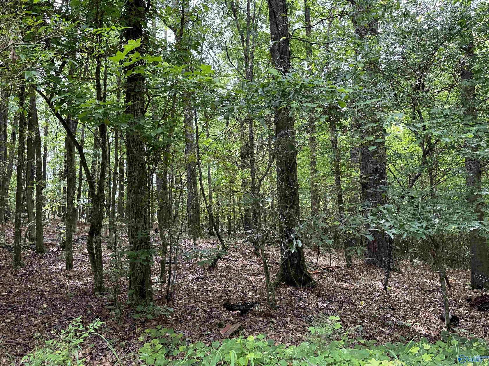 0.99 Acres of Residential Land for Sale in Rainbow City, Alabama