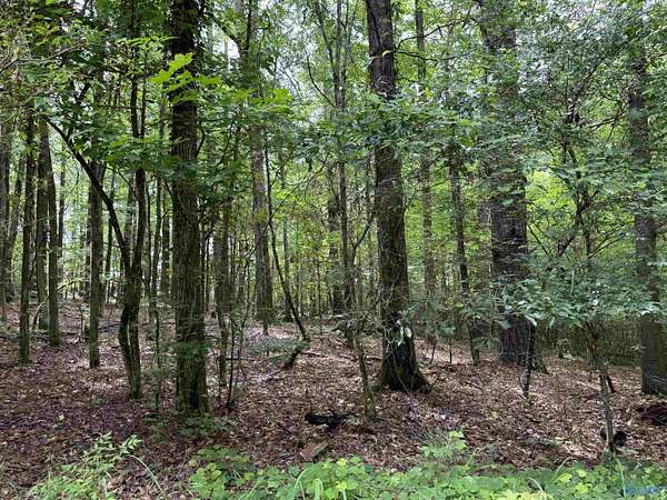 0.99 Acres of Residential Land for Sale in Rainbow City, Alabama