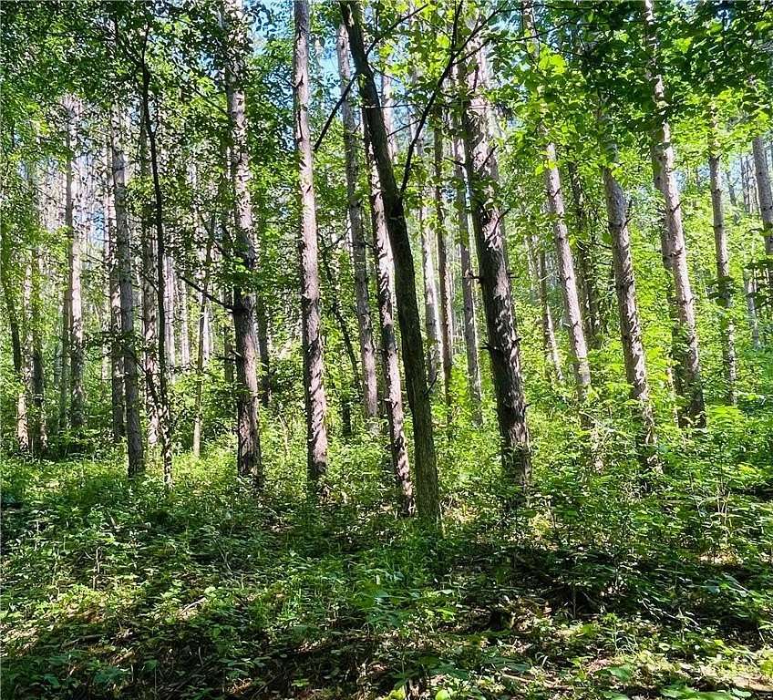 16 Acres of Recreational Land for Sale in Pepin, Wisconsin
