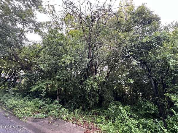 0.13 Acres of Residential Land for Sale in Macon, Georgia