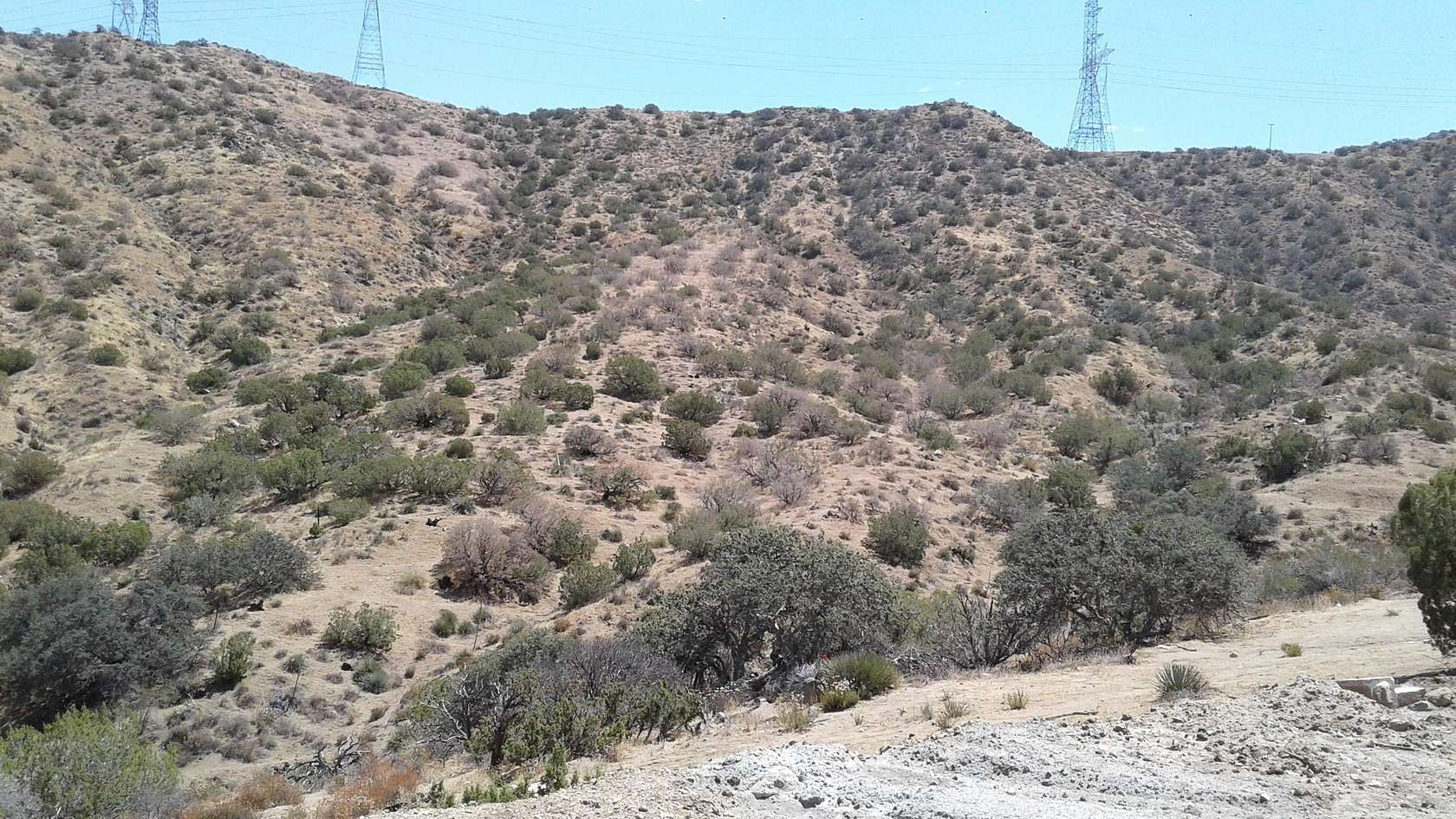9.79 Acres of Agricultural Land for Sale in Acton, California