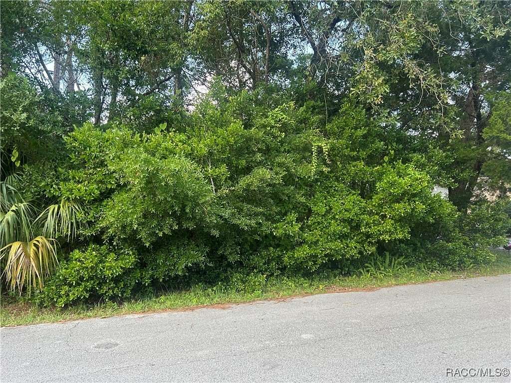 0.09 Acres of Land for Sale in Homosassa, Florida