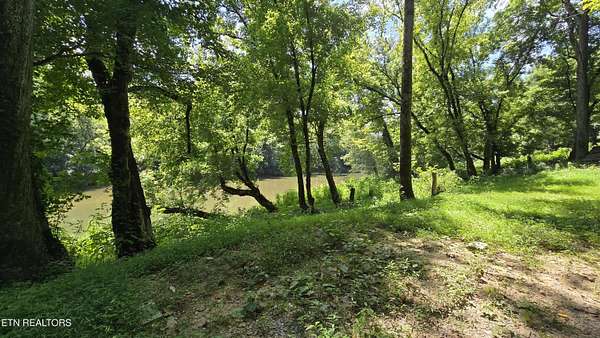 1 Acre of Land for Sale in Tazewell, Tennessee