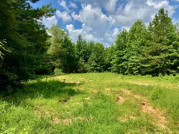 5 Acres of Residential Land for Sale in Henry, Tennessee