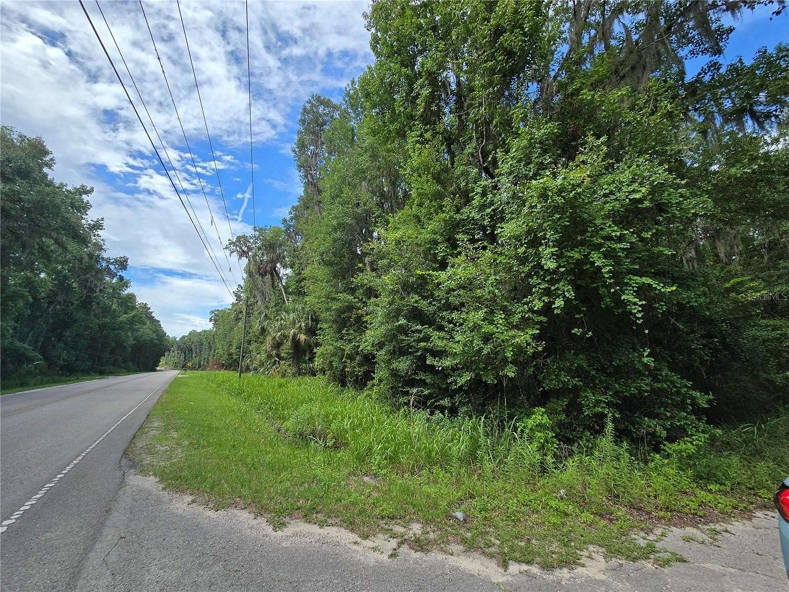 3 Acres of Residential Land for Sale in Micanopy, Florida