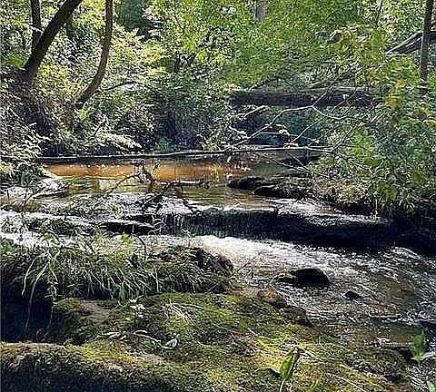 7 Acres of Land for Sale in Crewe, Virginia