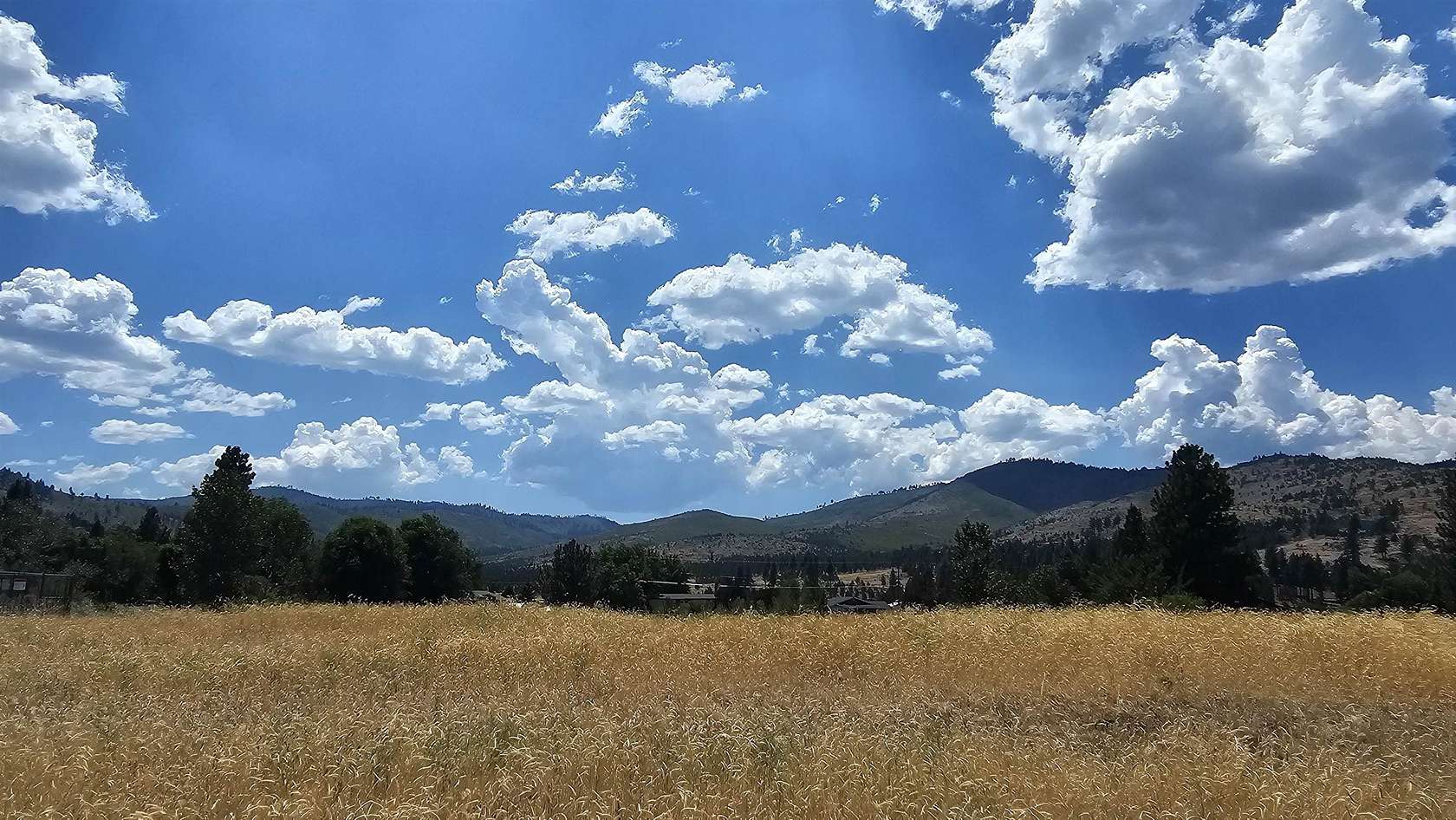 1.24 Acres of Land for Sale in Loyalton, California
