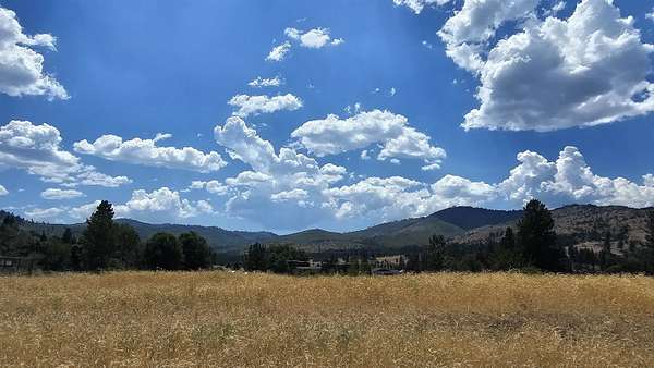 1.24 Acres of Residential Land for Sale in Loyalton, California