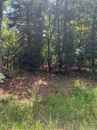 3.29 Acres of Residential Land for Sale in Shirley, Arkansas