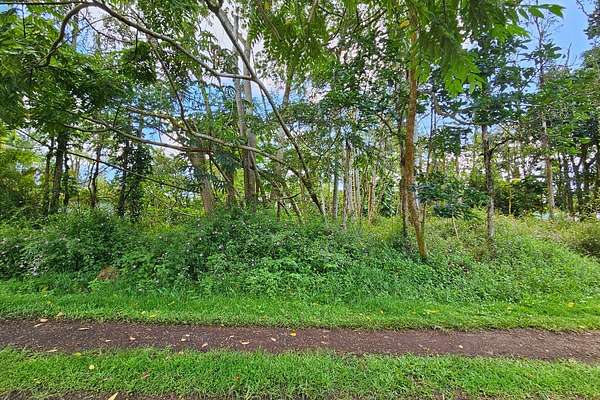 0.18 Acres of Residential Land for Sale in Pahoa, Hawaii