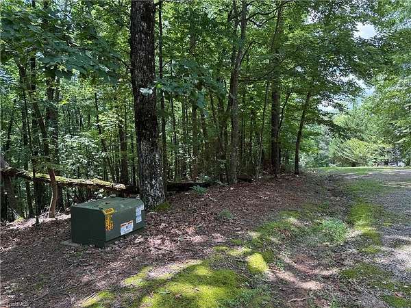 2 Acres of Residential Land for Sale in Purlear, North Carolina