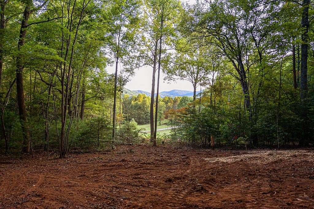 20 Acres of Land for Sale in Blue Ridge, Georgia