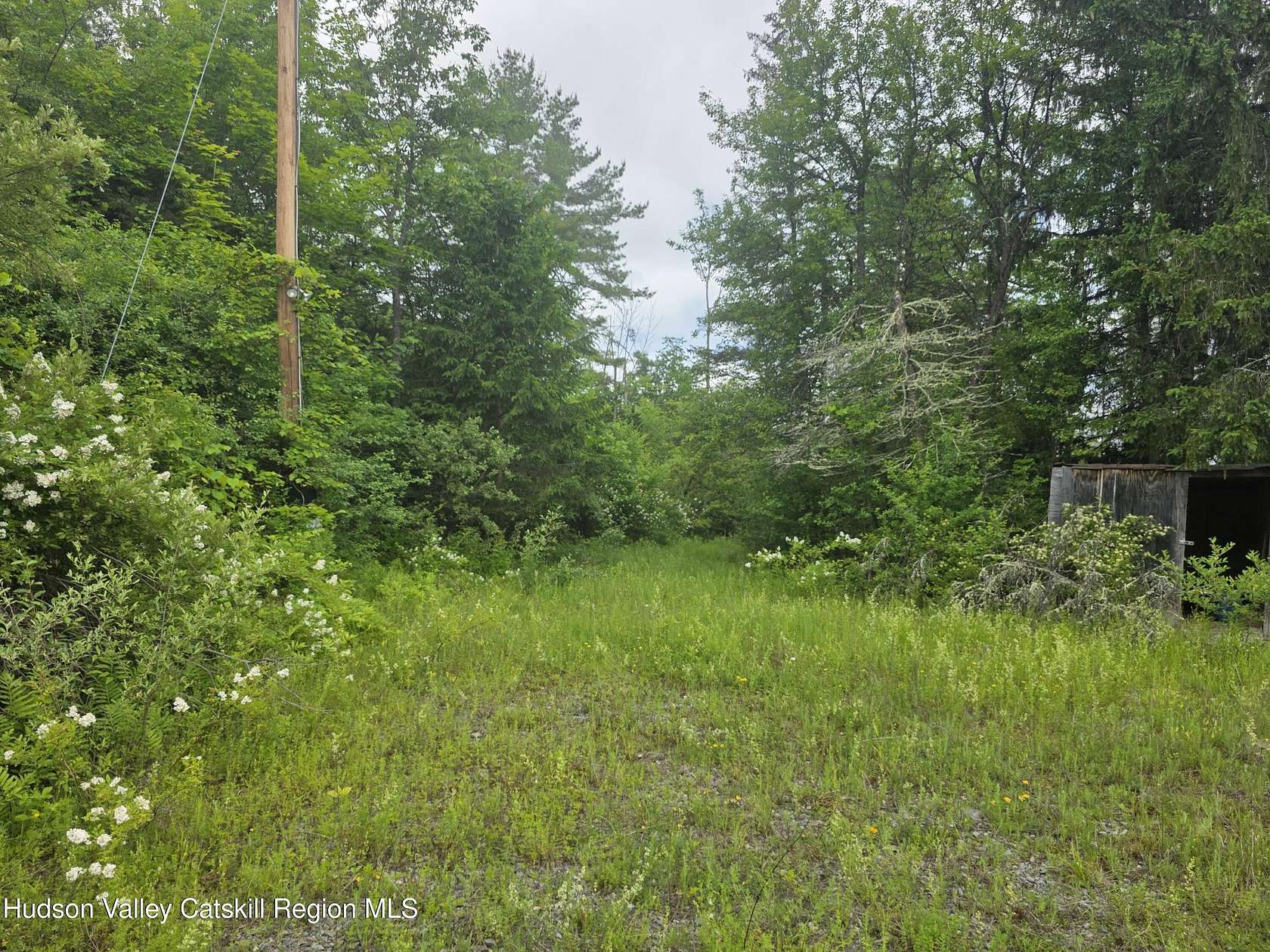 12.5 Acres of Land for Sale in Durham, New York
