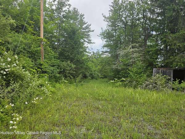 12.5 Acres of Land for Sale in Durham, New York