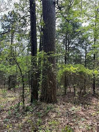 38.6 Acres of Recreational Land for Sale in Bokoshe, Oklahoma