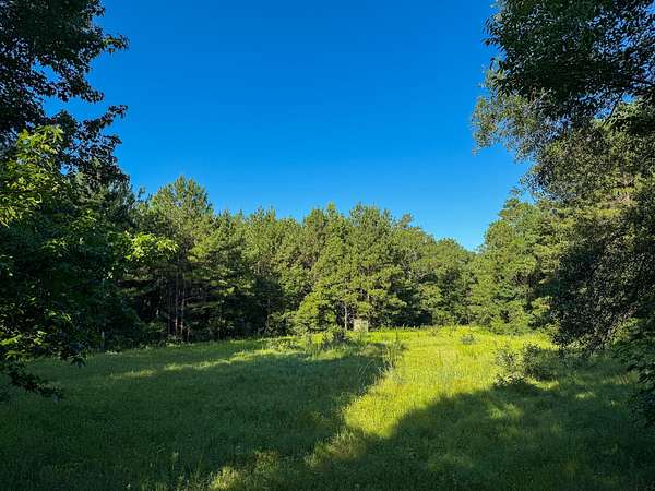 275 Acres of Land for Sale in Hattiesburg, Mississippi