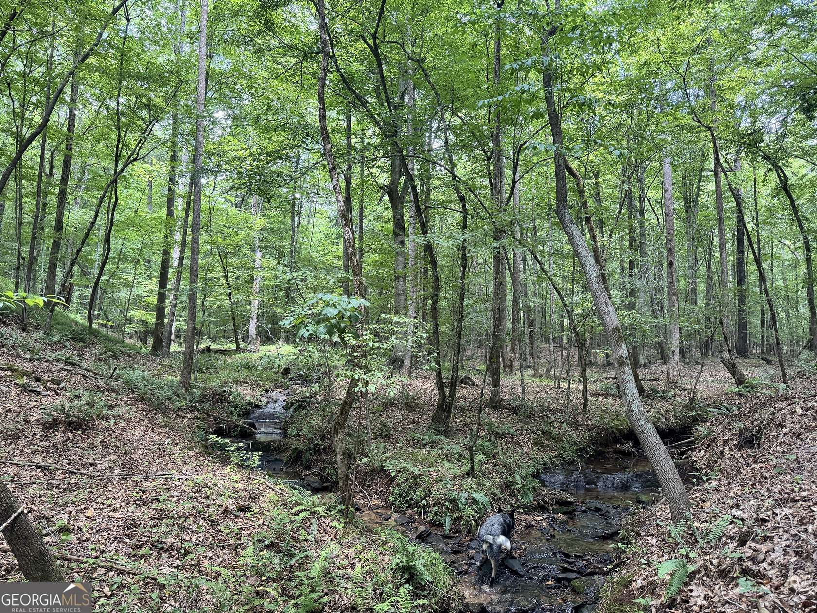 140 Acres of Recreational & Residential Land for Sale in Franklin, Georgia