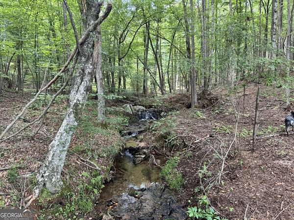 140 Acres of Recreational Land for Sale in Franklin, Georgia