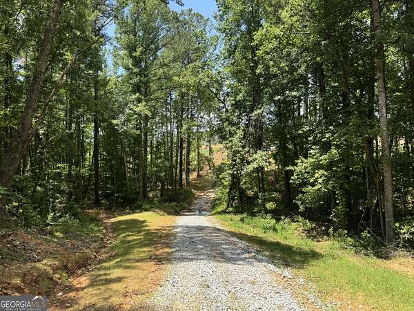 319 Acres of Recreational Land for Sale in Franklin, Georgia