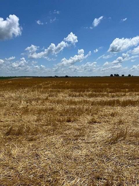 82.2 Acres of Land for Sale in Varna, Illinois