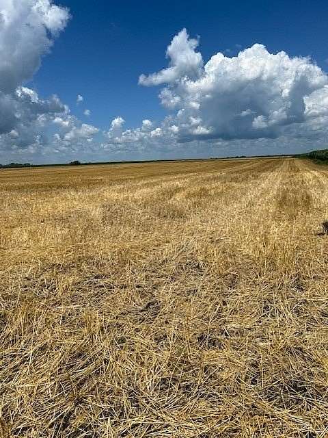 42.4 Acres of Agricultural Land for Sale in Varna, Illinois