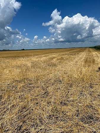 42.4 Acres of Agricultural Land for Sale in Varna, Illinois