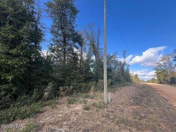 1.37 Acres of Residential Land for Sale in Alford, Florida