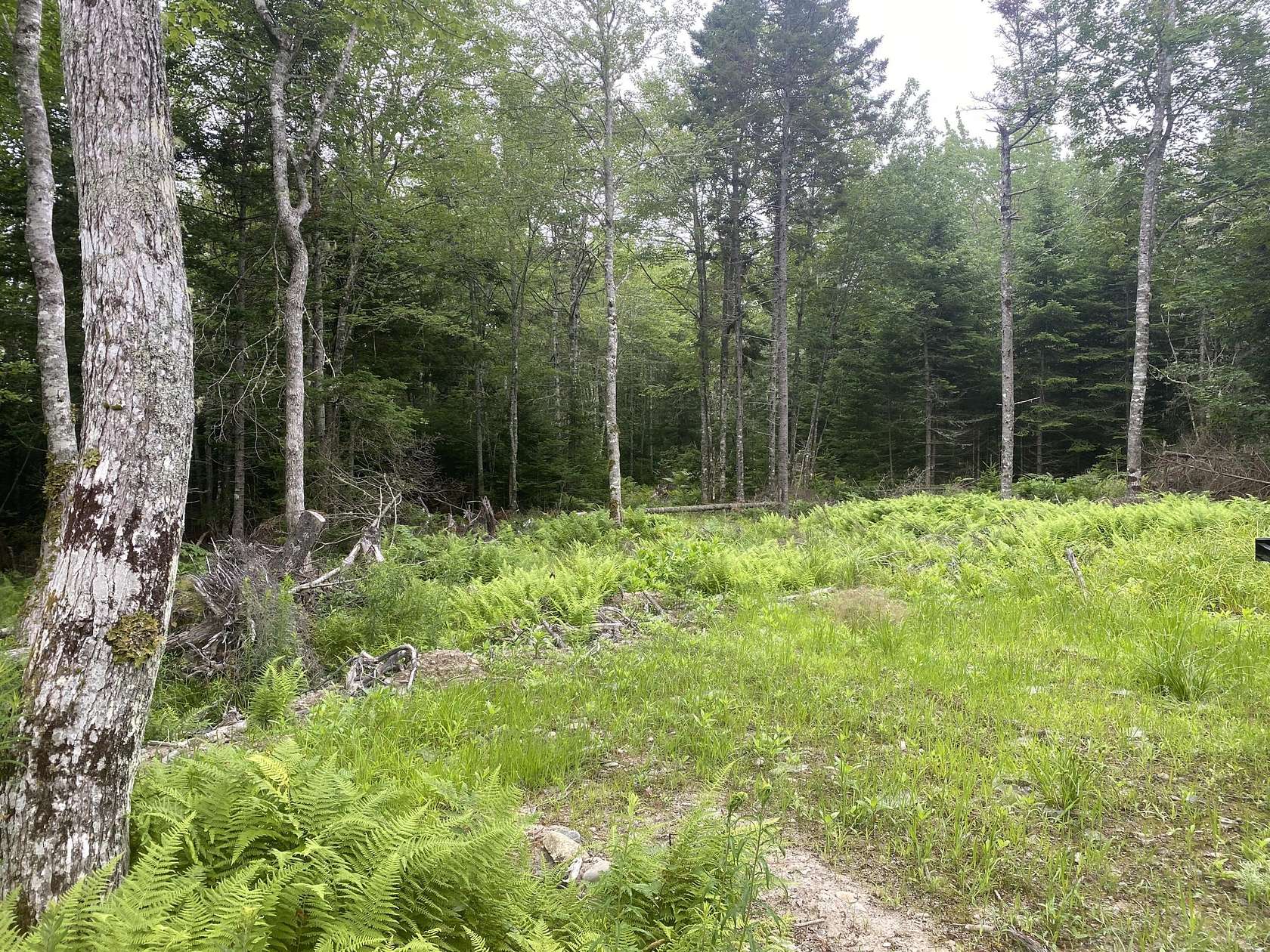 29 Acres of Land for Sale in Trenton, Maine
