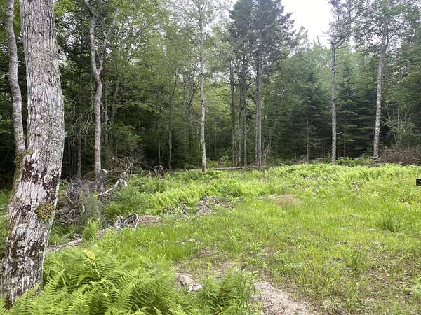 29 Acres of Land for Sale in Trenton, Maine