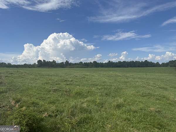 16.5 Acres of Land for Sale in Roopville, Georgia