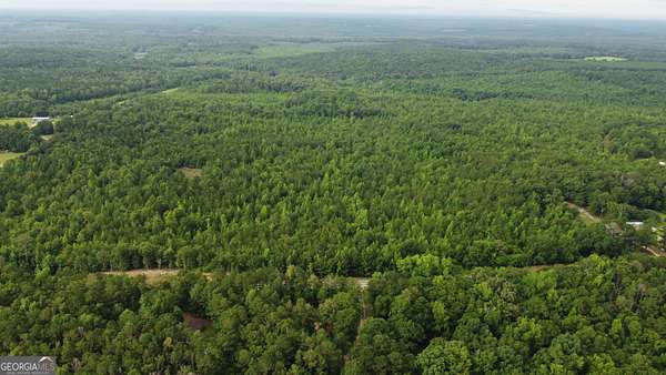 49.4 Acres of Recreational Land for Sale in Ideal, Georgia