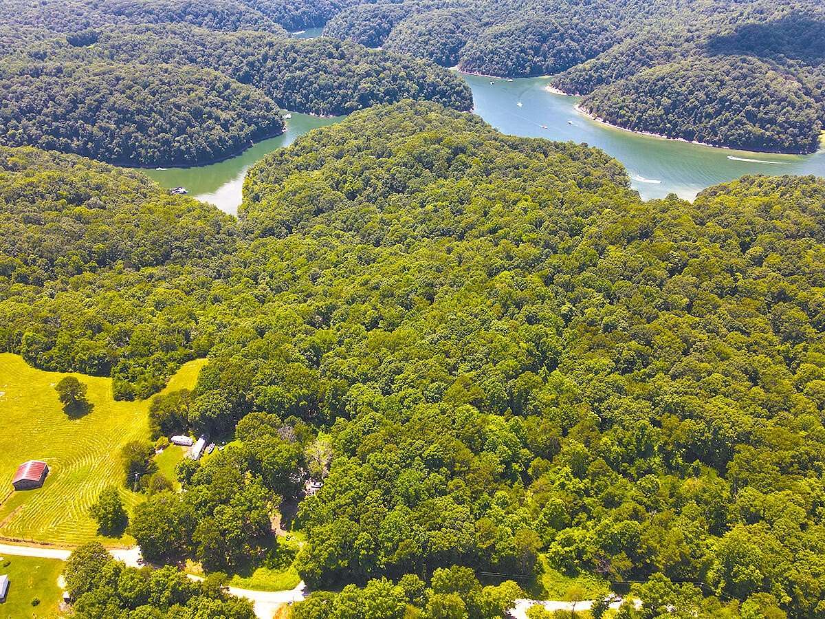 19 Acres of Land for Sale in Monticello, Kentucky