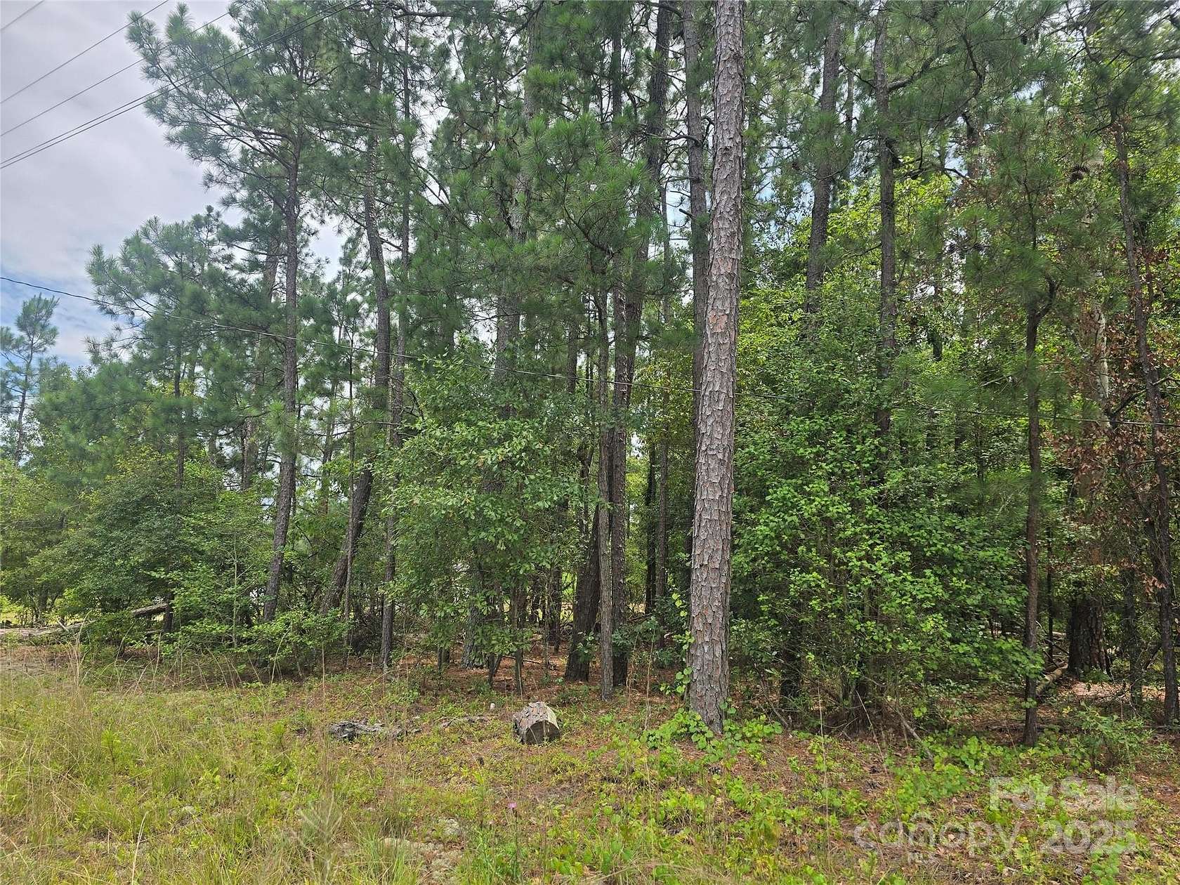 0.91 Acres of Residential Land for Sale in Kershaw, South Carolina