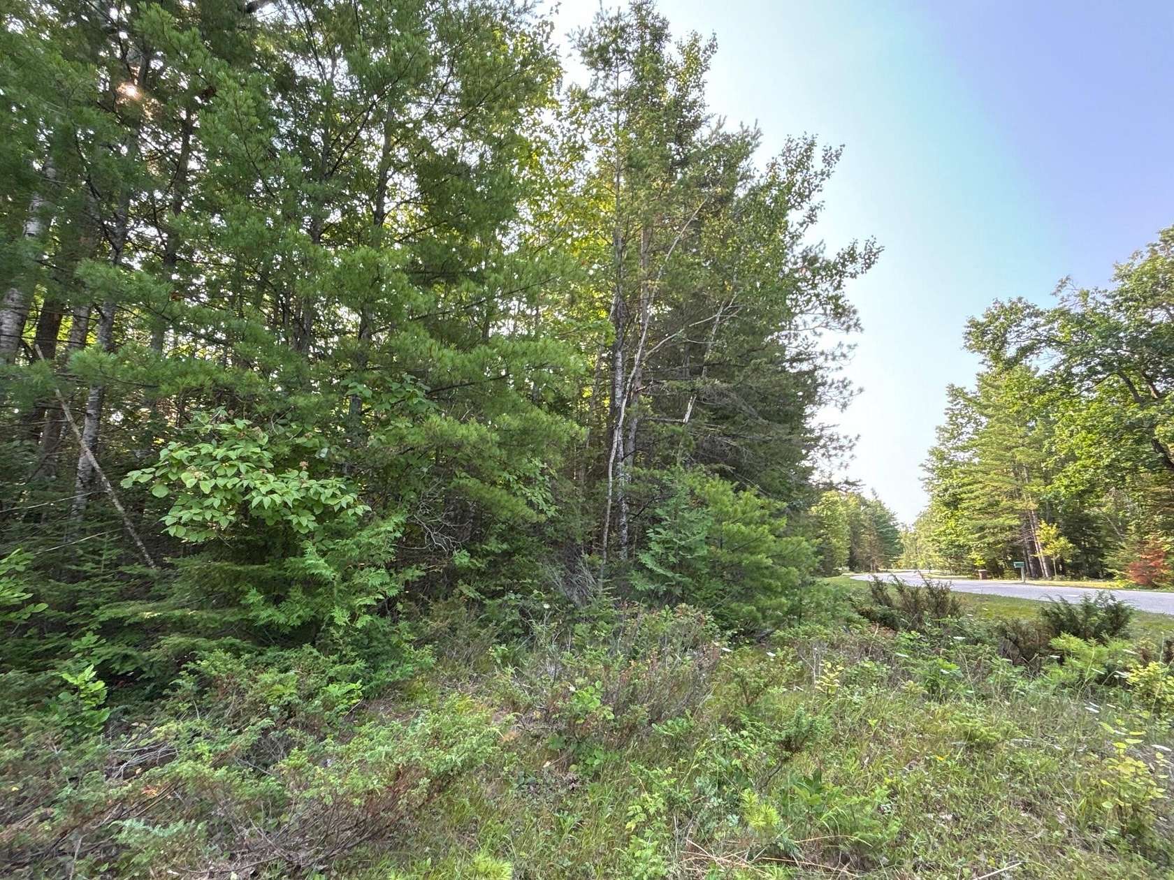 0.41 Acres of Residential Land for Sale in Presque Isle, Michigan