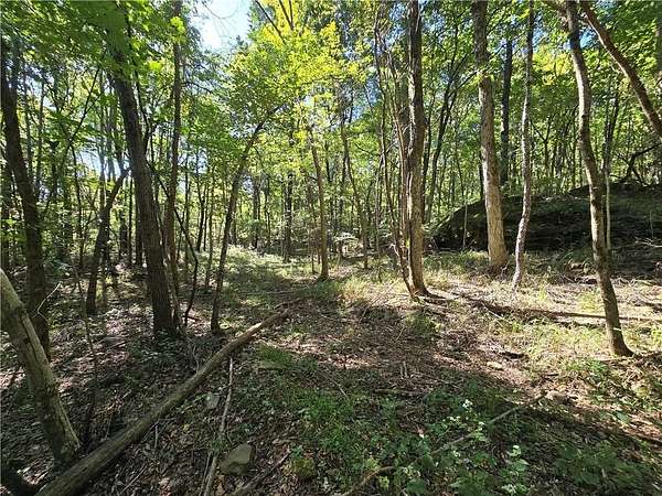 10 Acres of Recreational Land for Sale in Jasper, Arkansas
