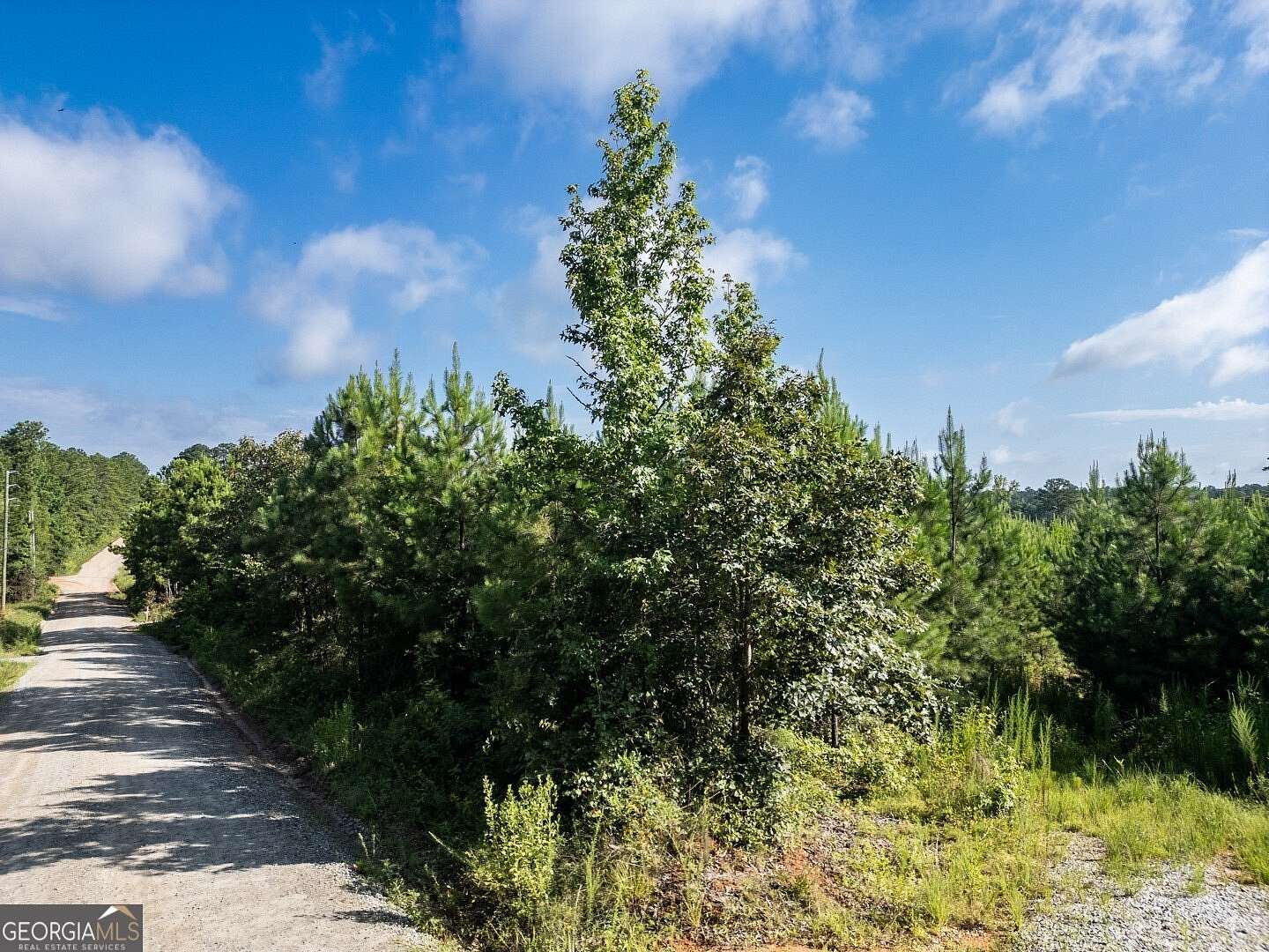 8.3 Acres of Residential Land for Sale in Monticello, Georgia