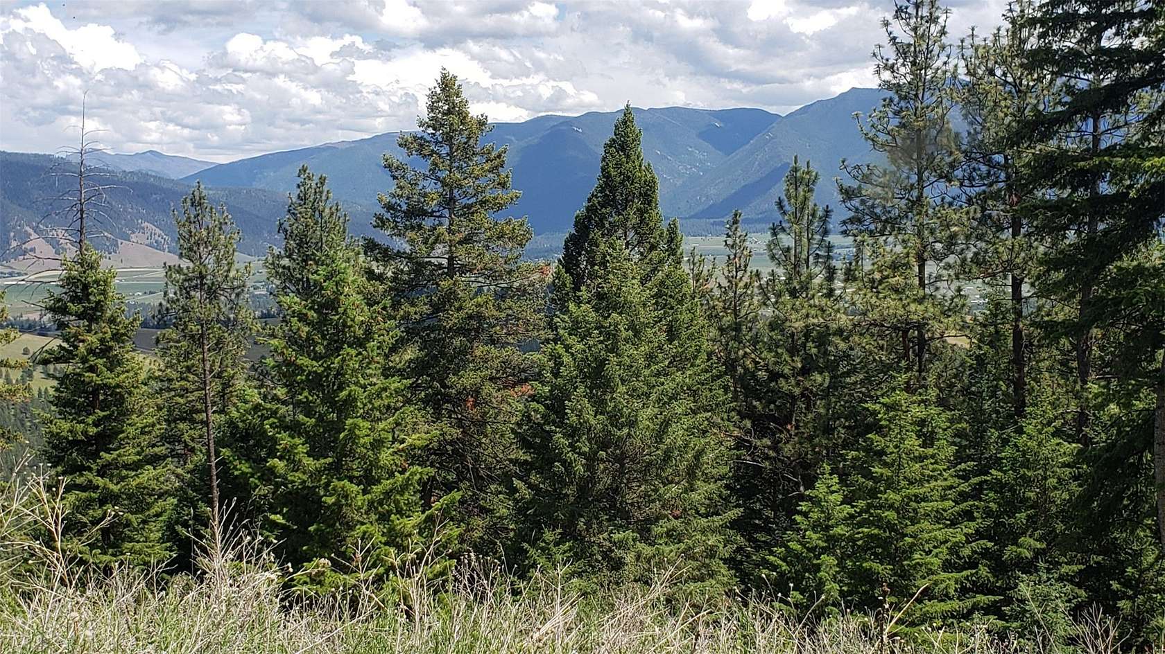 57.5 Acres of Recreational Land for Sale in Arlee, Montana