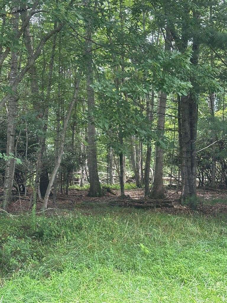 5.1 Acres of Land for Sale in Independence, Virginia