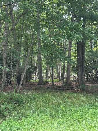 5.1 Acres of Land for Sale in Independence, Virginia