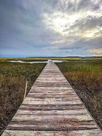 4.78 Acres of Residential Land for Sale in Woodbine, Georgia