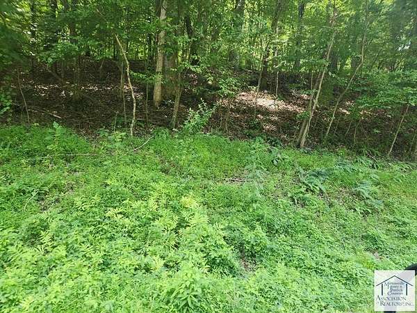 Residential Land for Sale in Collinsville, Virginia