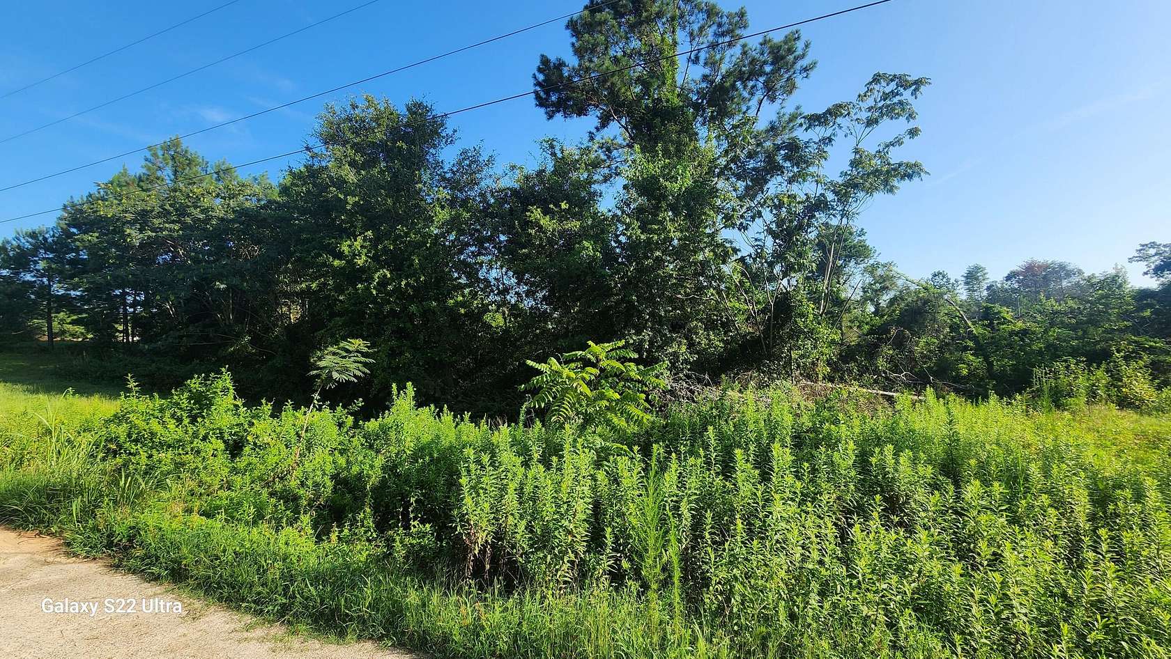 Residential Land for Sale in Waynesboro, Georgia