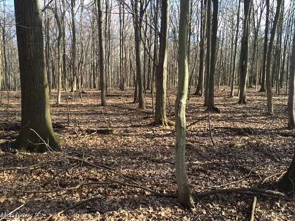 5.37 Acres of Land for Sale in Strongsville, Ohio