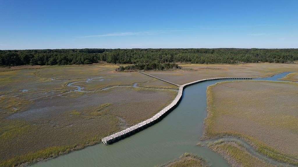 713 Acres of Recreational & Residential Land for Sale in Eastville, Virginia