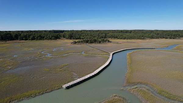 713 Acres of Recreational Land for Sale in Eastville, Virginia