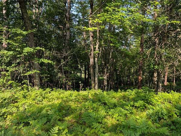 7 Acres of Residential Land for Sale in Rusk Town, Wisconsin